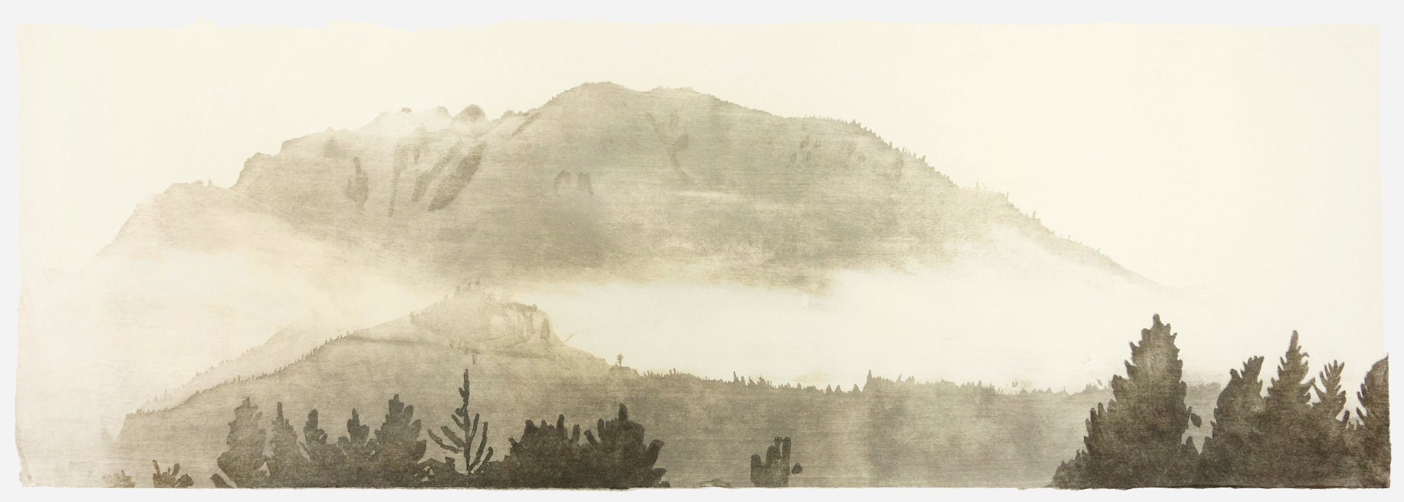 FINE PRINTS
