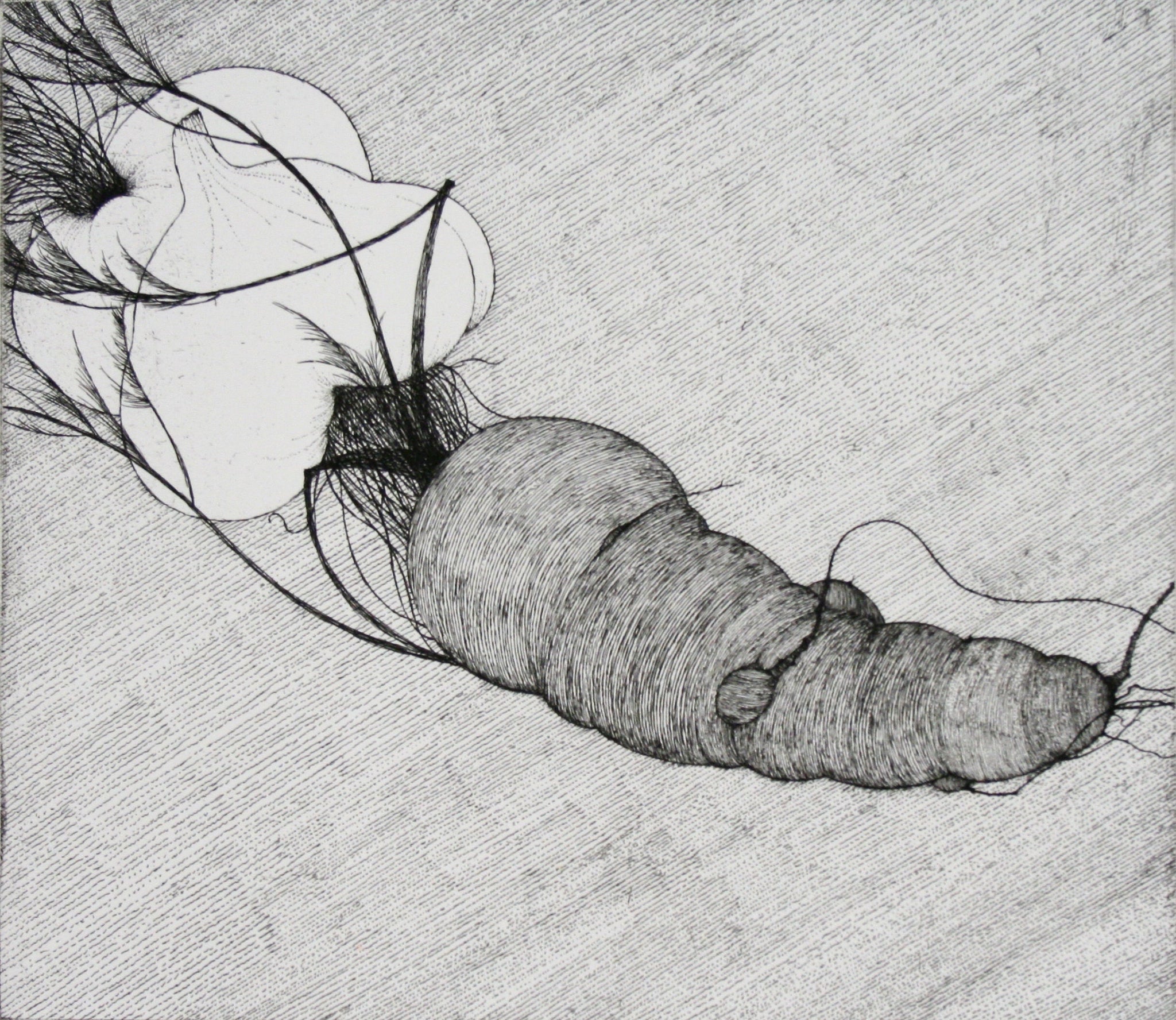 Carrot and Two Garlic by Art Hansen - Davidson Galleries