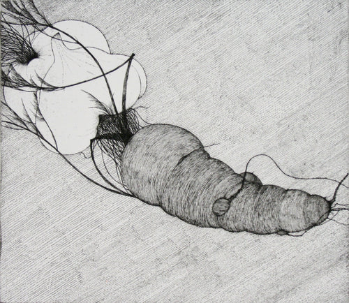 Carrot and Two Garlic by Art Hansen - Davidson Galleries