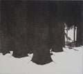 Winter, Forest, and the Woodcutter