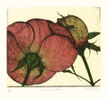 Two Roses #4