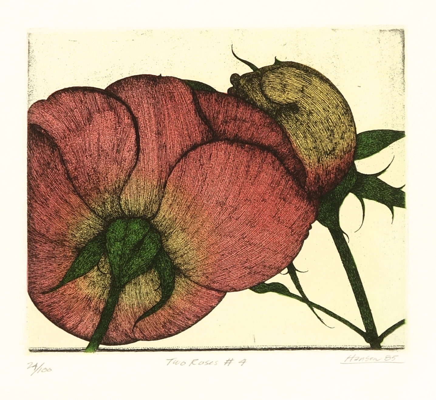 Two Roses #4