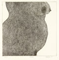 Torso