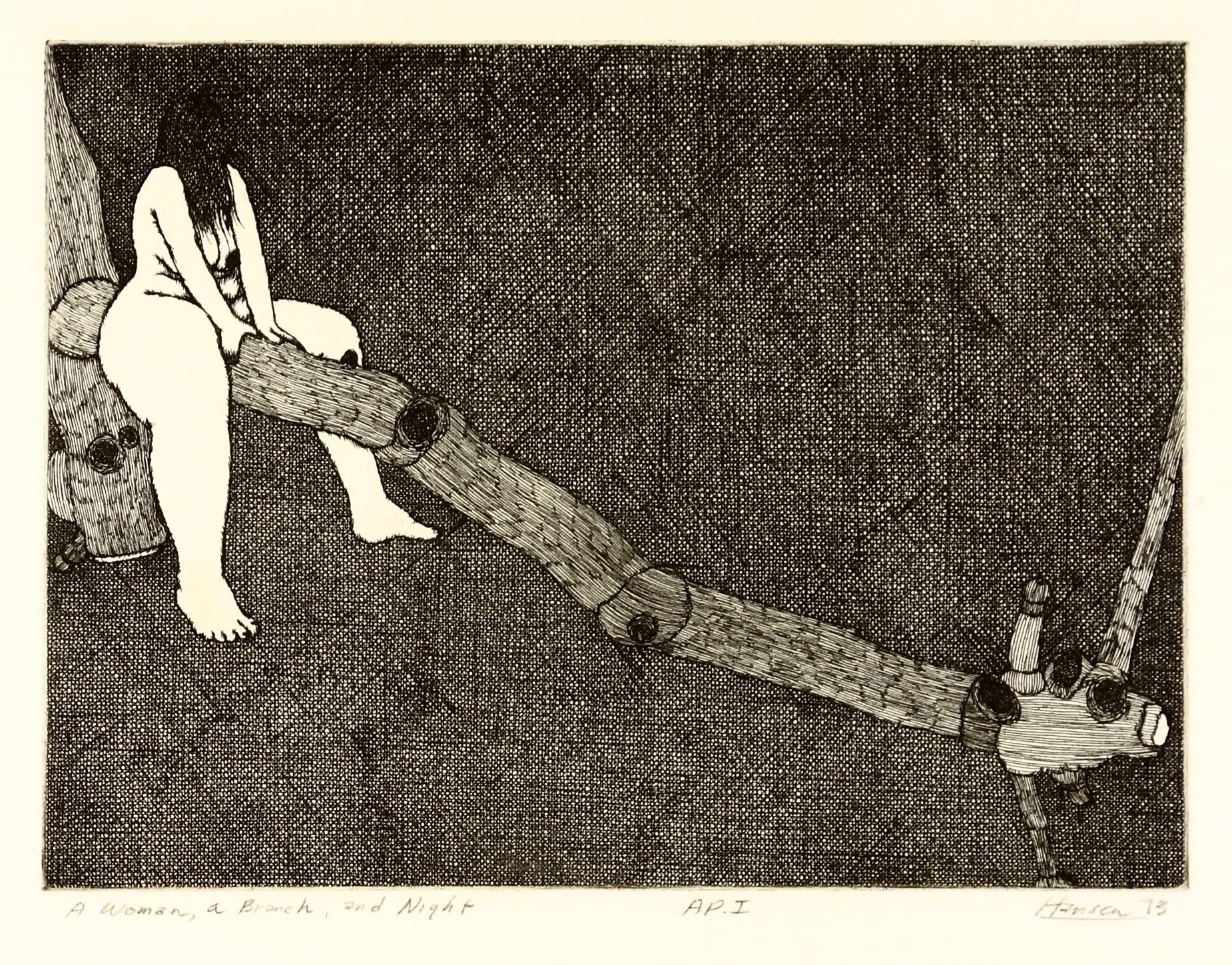 A Woman, a Branch and Night