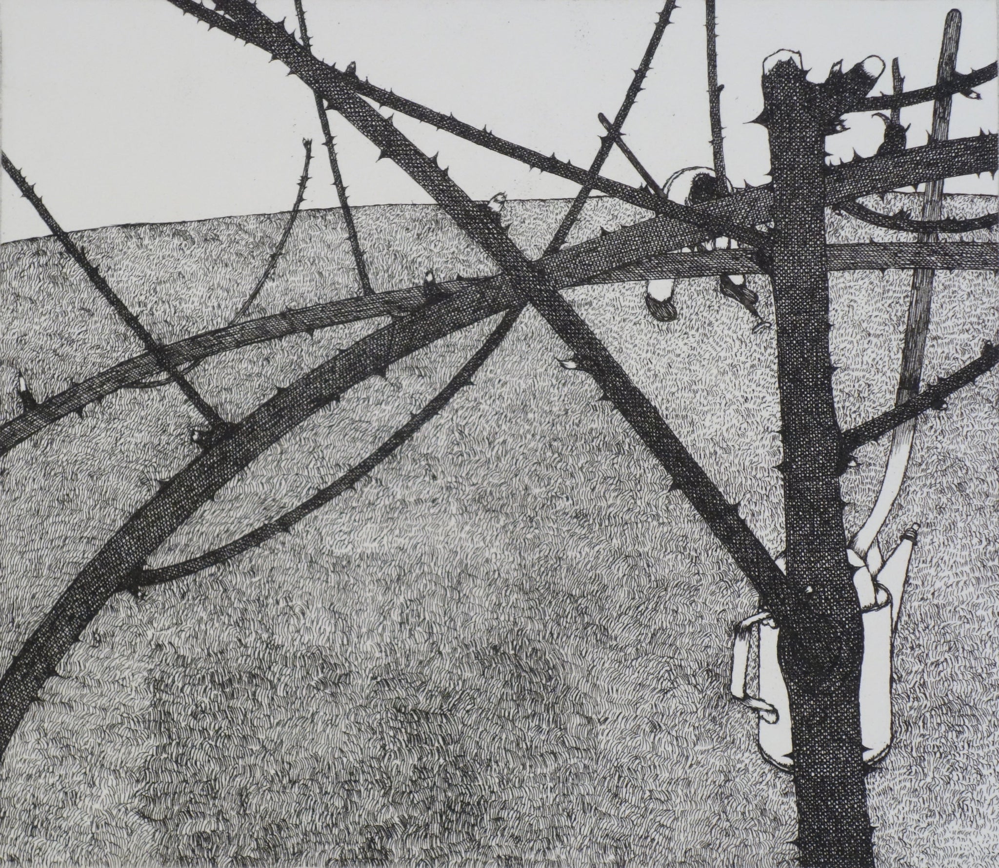 The Garden - March 1973