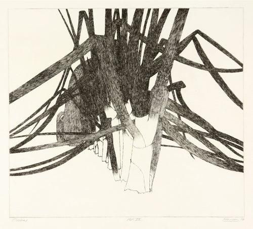 Onions by Art Hansen - Davidson Galleries
