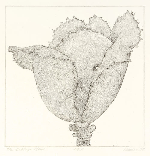 The Cabbage Head by Art Hansen - Davidson Galleries