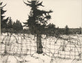 Island Landscape 1978 by Art Hansen - Davidson Galleries