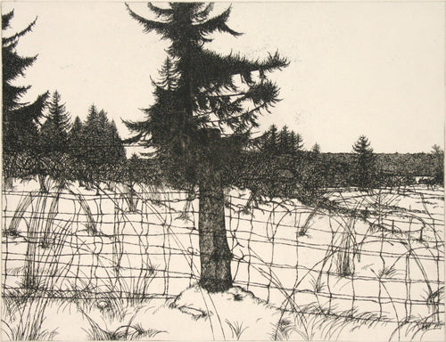 Island Landscape 1978 by Art Hansen - Davidson Galleries