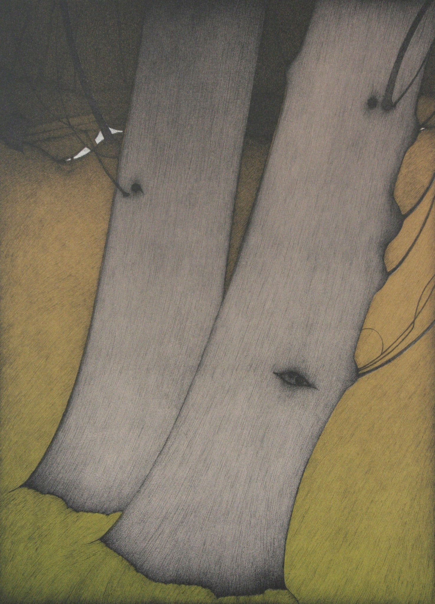 Two Alders (Color)
