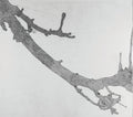 A Man, Log, and the Pear Branch by Art Hansen - Davidson Galleries