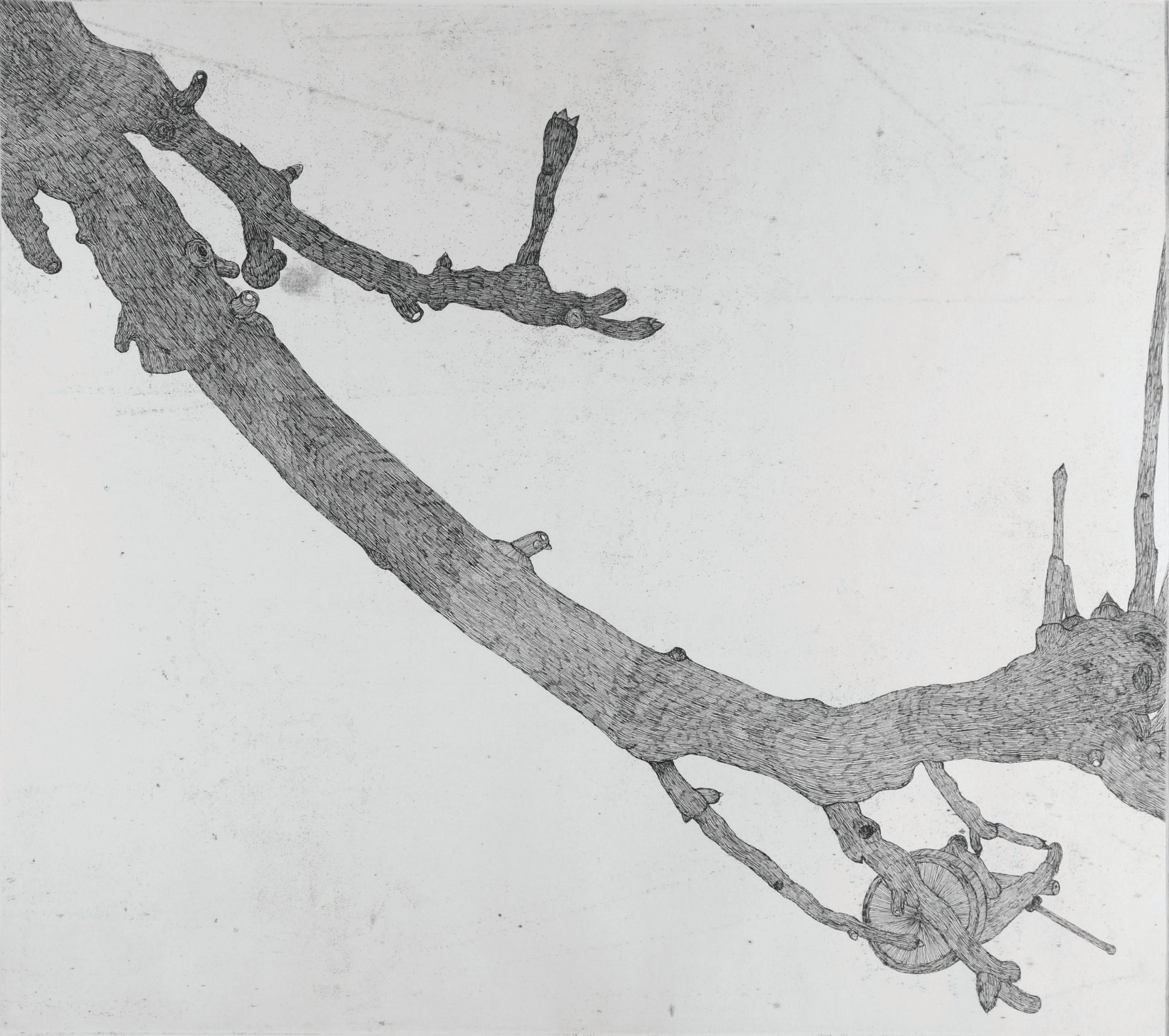 A Man, Log, and the Pear Branch