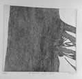 The Great Fir and the Woods