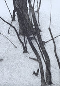 Forest and Man on Stump by Art Hansen - Davidson Galleries
