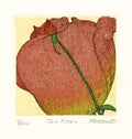 Two Roses