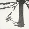The Great Fir and the Woodcutter 1973