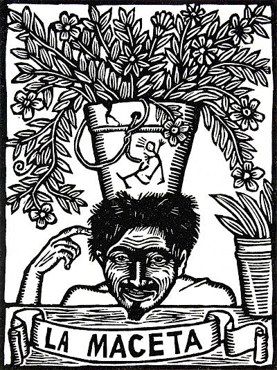 La Maceta (Flower Pot) by Artemio Rodriguez - Davidson Galleries