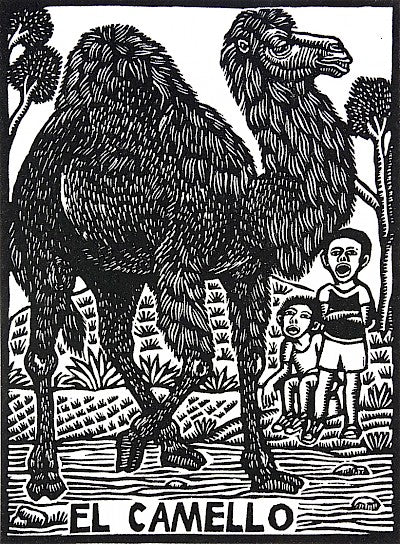 El Camello (The Camel) by Artemio Rodriguez - Davidson Galleries