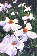 Matilija Poppies by Gordon Mortensen - Davidson Galleries