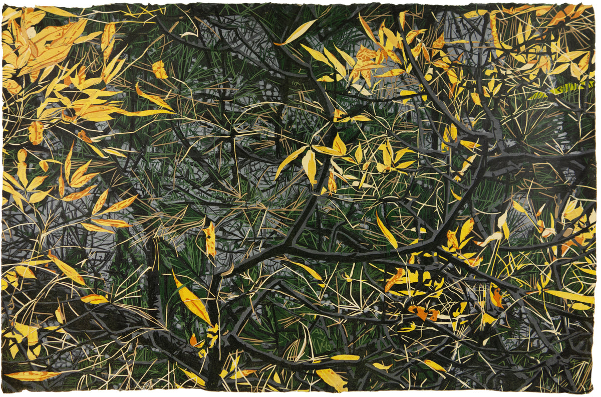 Thicket