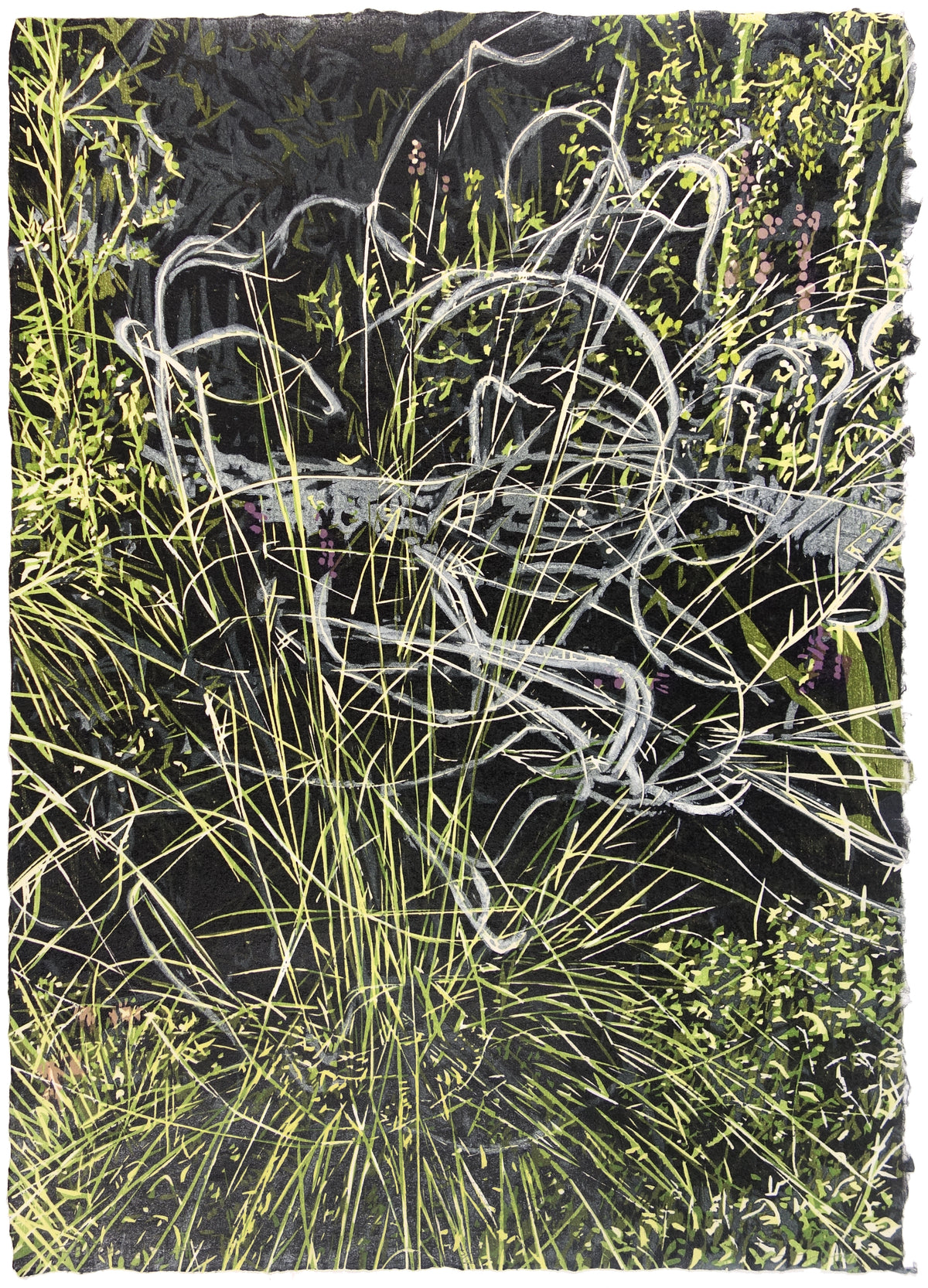 Feather Grass