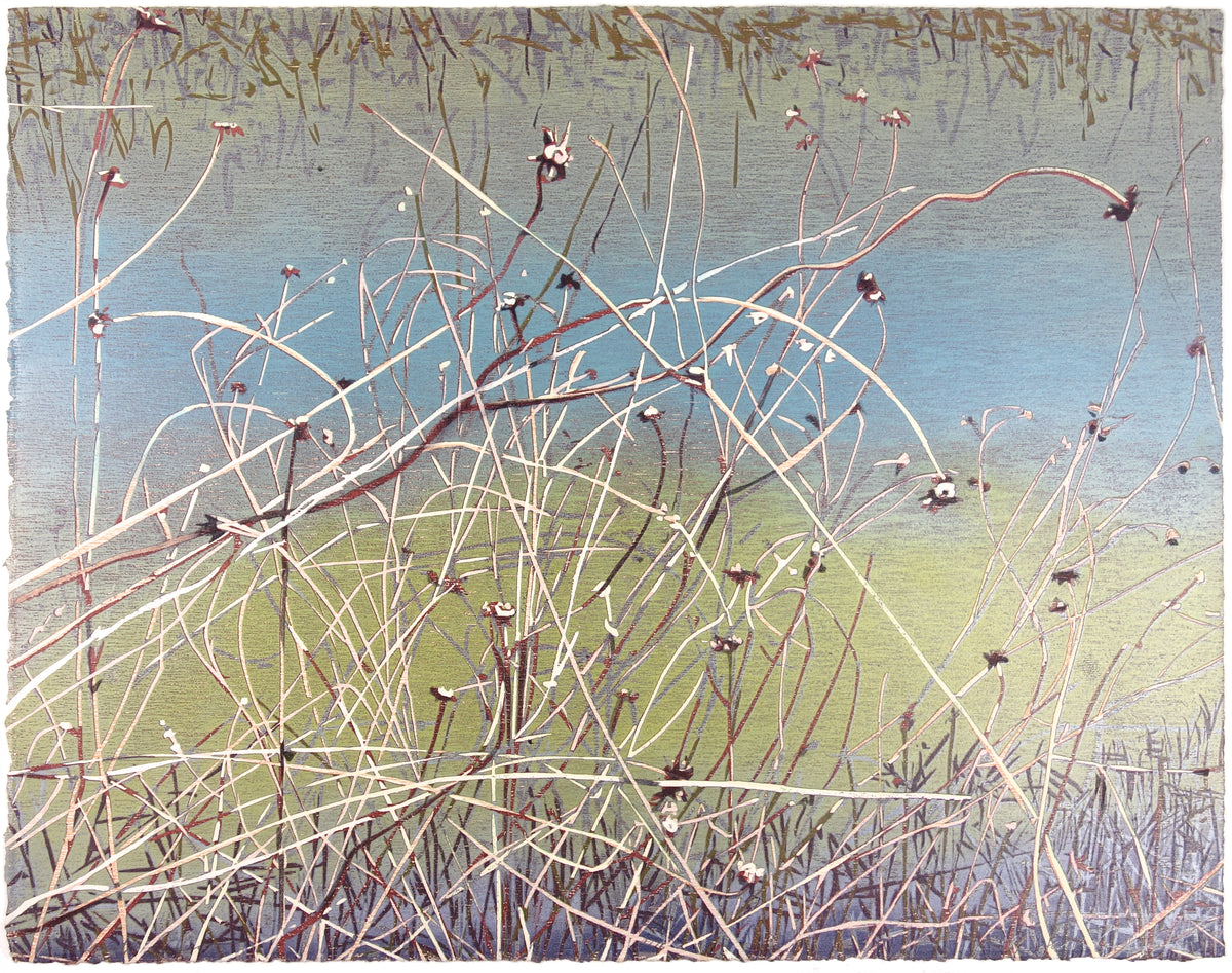Marsh Grass