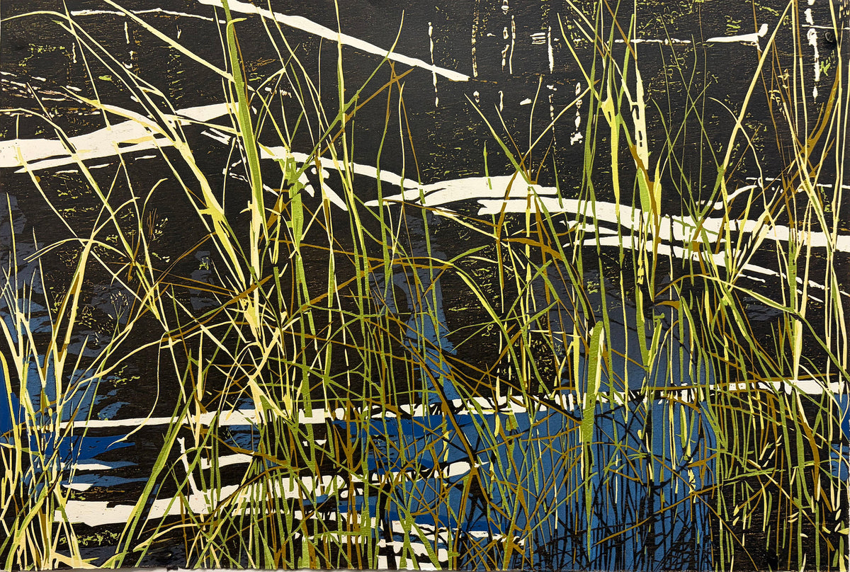 Marsh