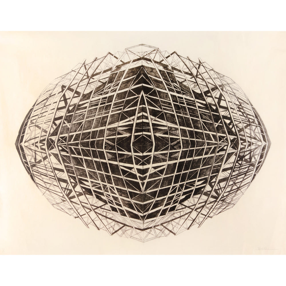 Fragile Infrastructure by Jenny Robinson - Davidson Galleries