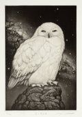 Starry Night by Koji Ikuta - Davidson Galleries