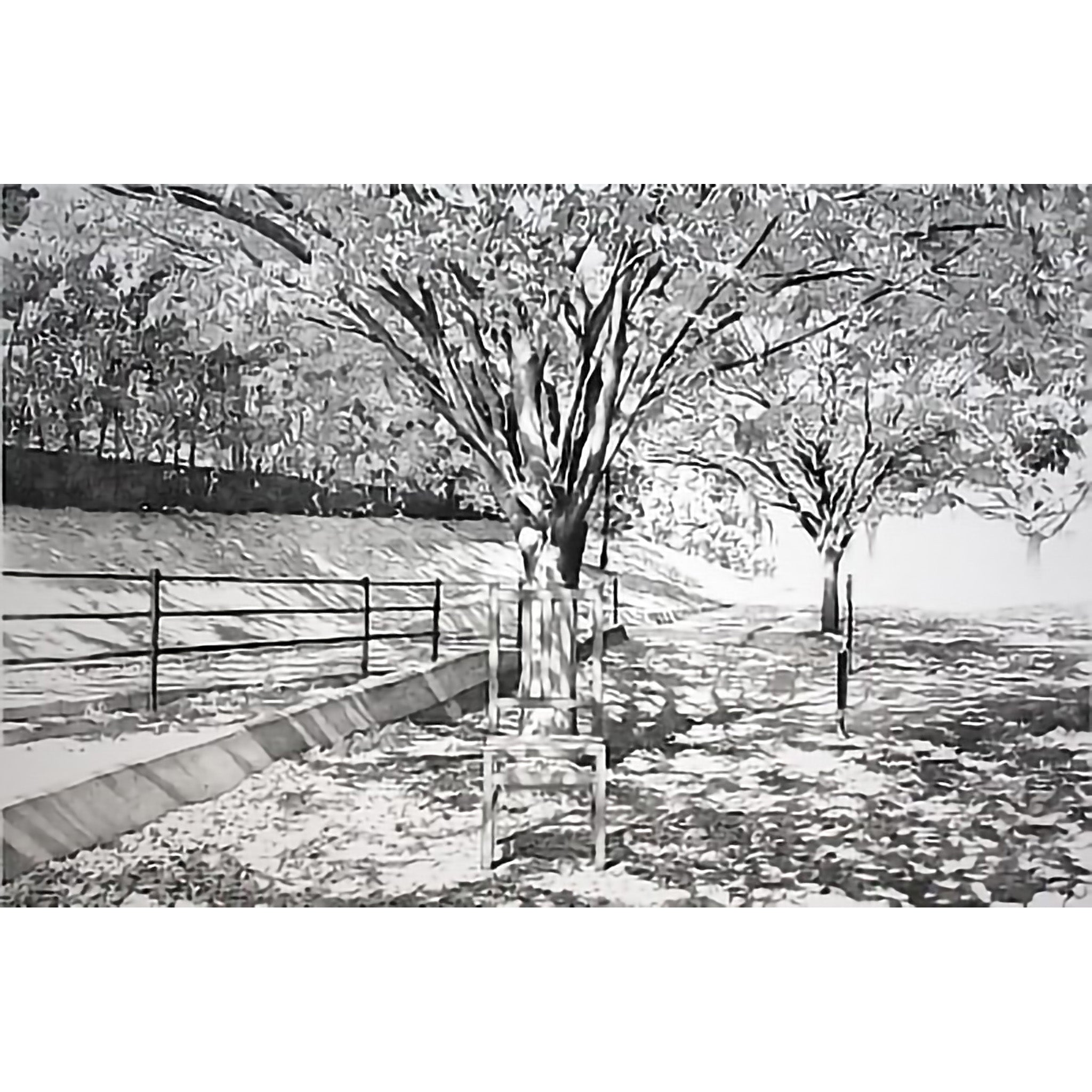 Keisuke Yamamoto – Gallery No.85