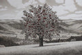 Apple Tree by Keisuke Yamamoto - Davidson Galleries