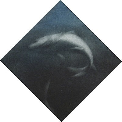 Carpe Diem I by Mikio Watanabe