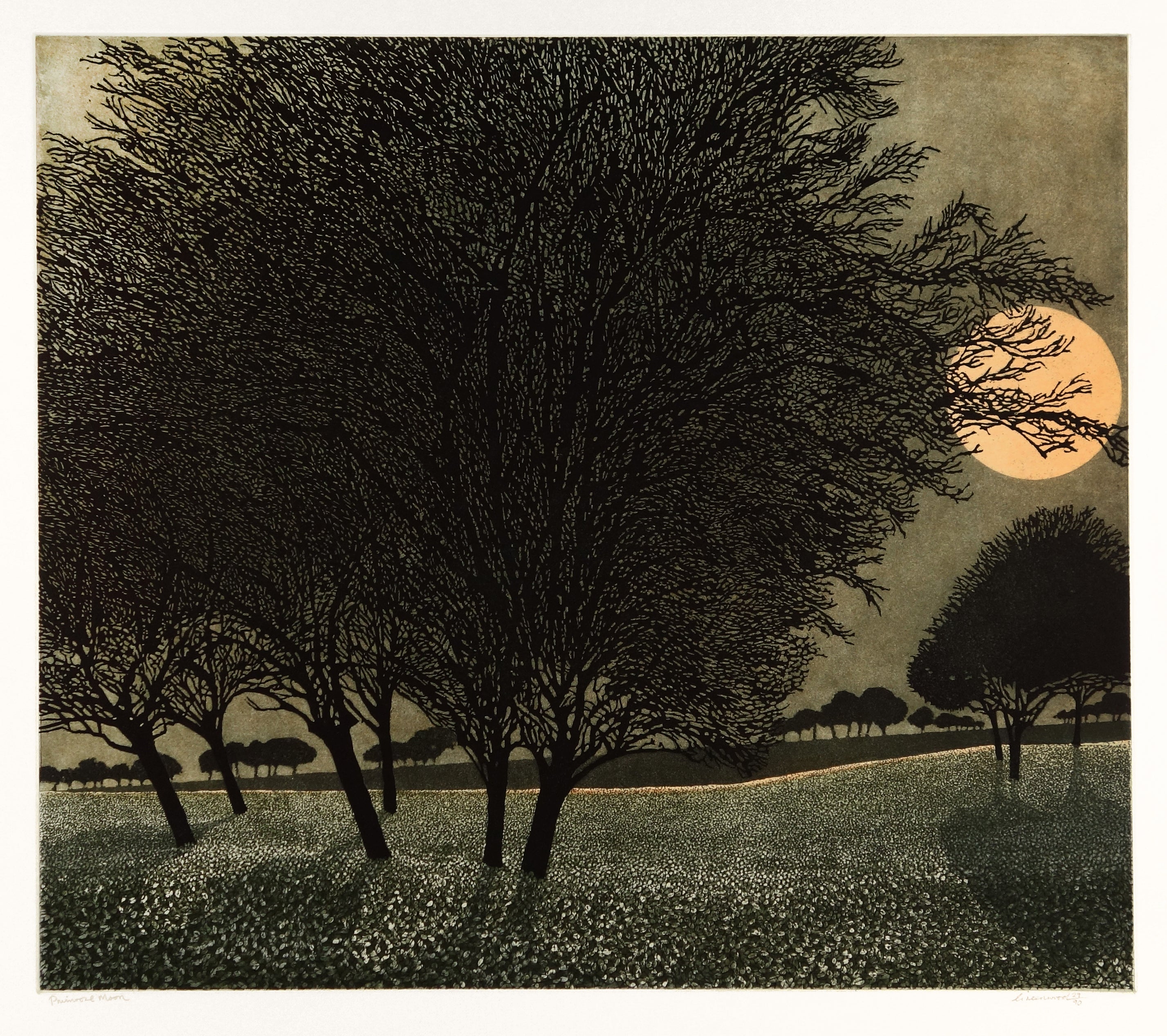 Primrose Moon by Phil Greenwood - Davidson Galleries