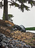 Tree and Boulders by Robert Connell - Davidson Galleries