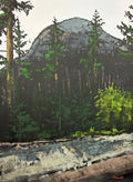 Dark Woods by Robert Connell - Davidson Galleries
