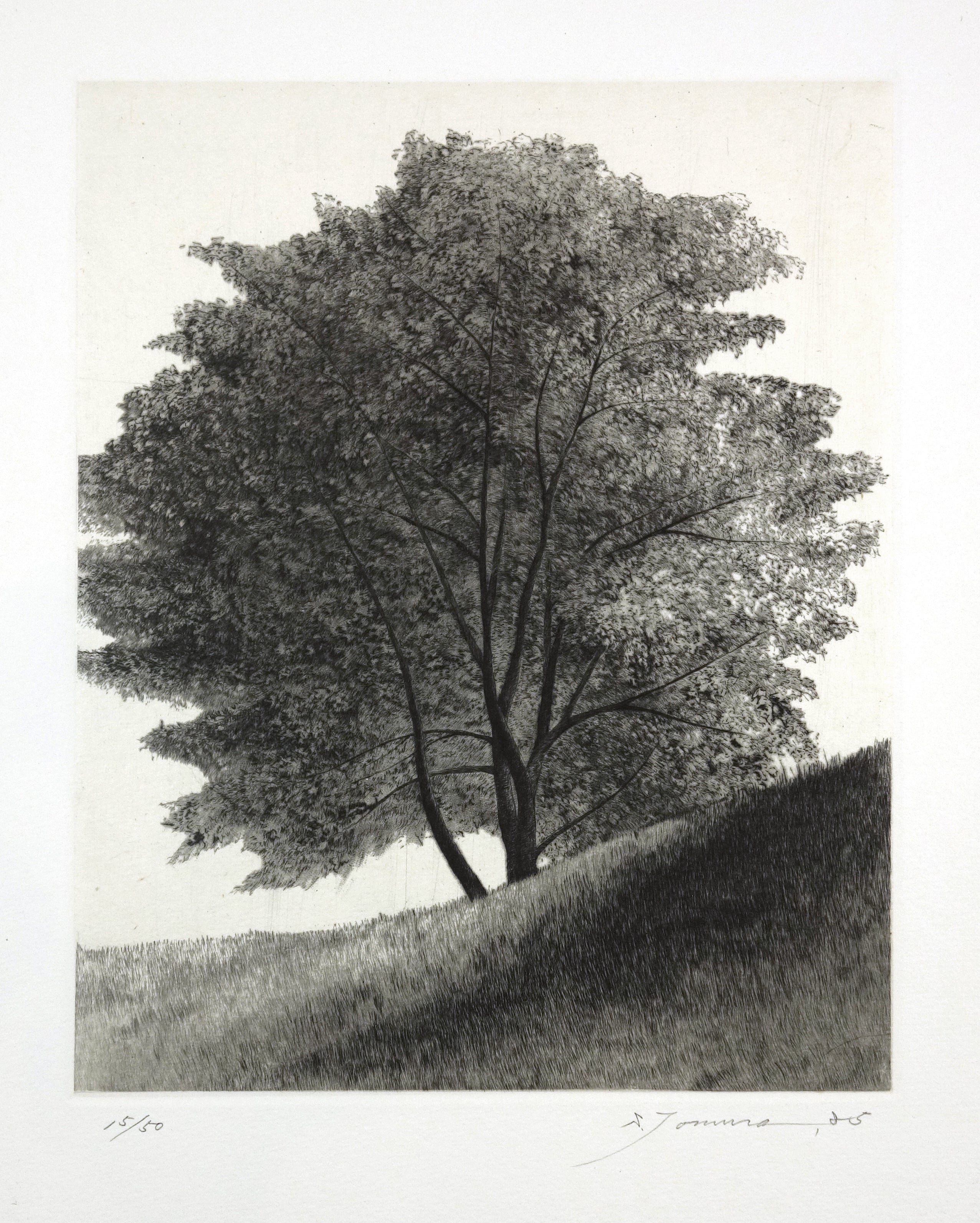 Shigeki Tomura, Japanese print artist