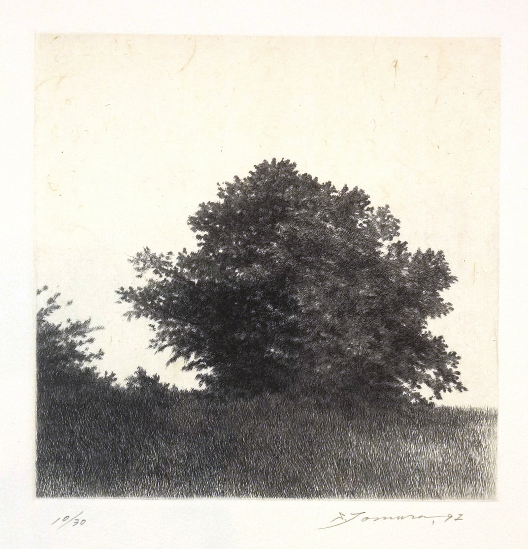 A Forest, Light and Shade IV by Shigeki Tomura