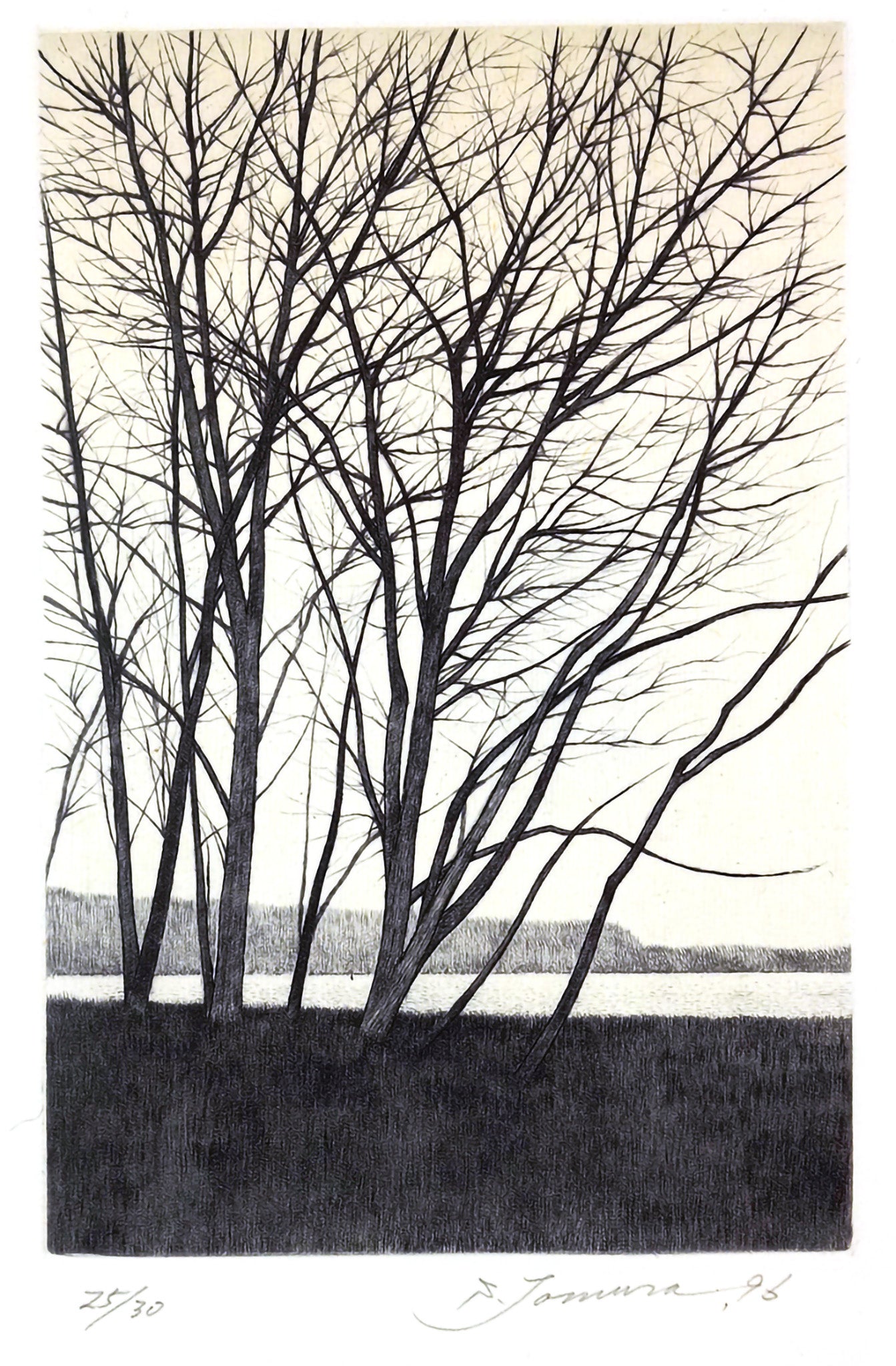 Quiet Moment, in Winter by Shigeki Tomura