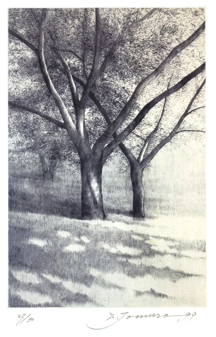 Shadows, in Summer II by Shigeki Tomura