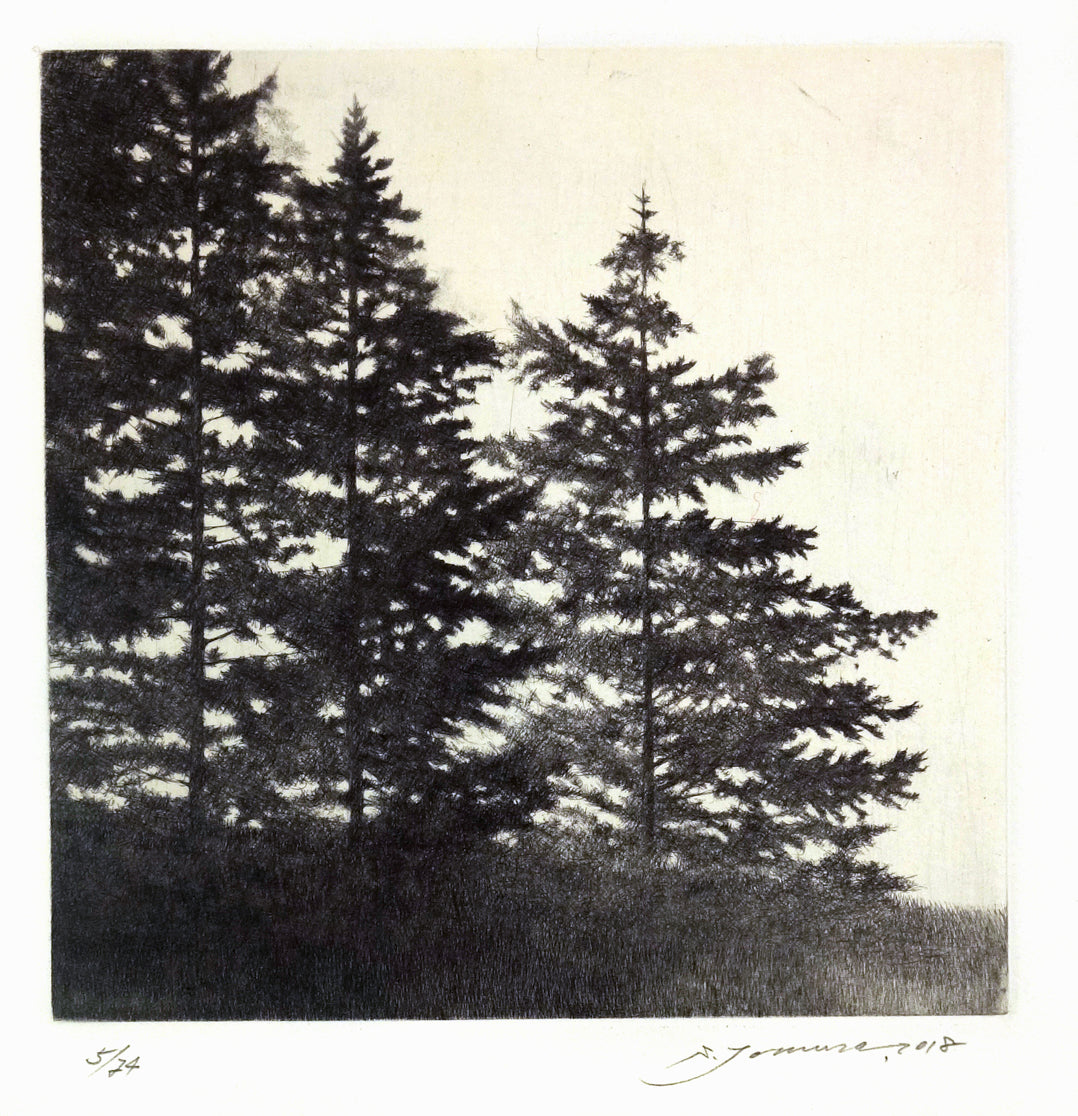 40 N. Latitude III, Summer by Shigeki Tomura