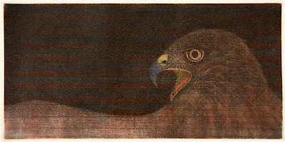 Hawk-A by Seiichi Hiroshima - Davidson Galleries