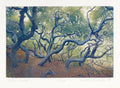 Elfin Forest by Stephen McMillan - Davidson Galleries