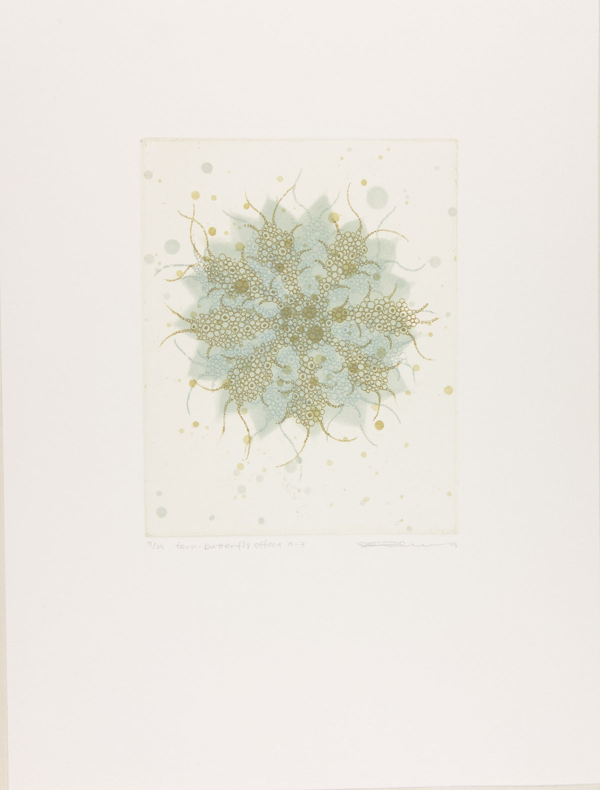 Fern-butterfly effect a-3