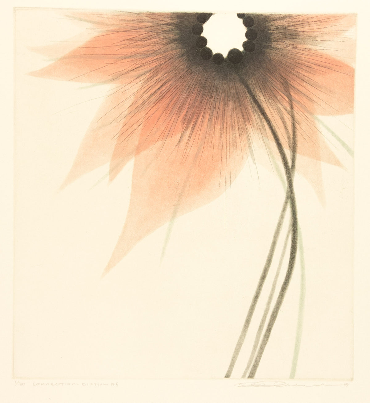 Connection-Blossom #5 by Seiko Tachibana - Davidson Galleries