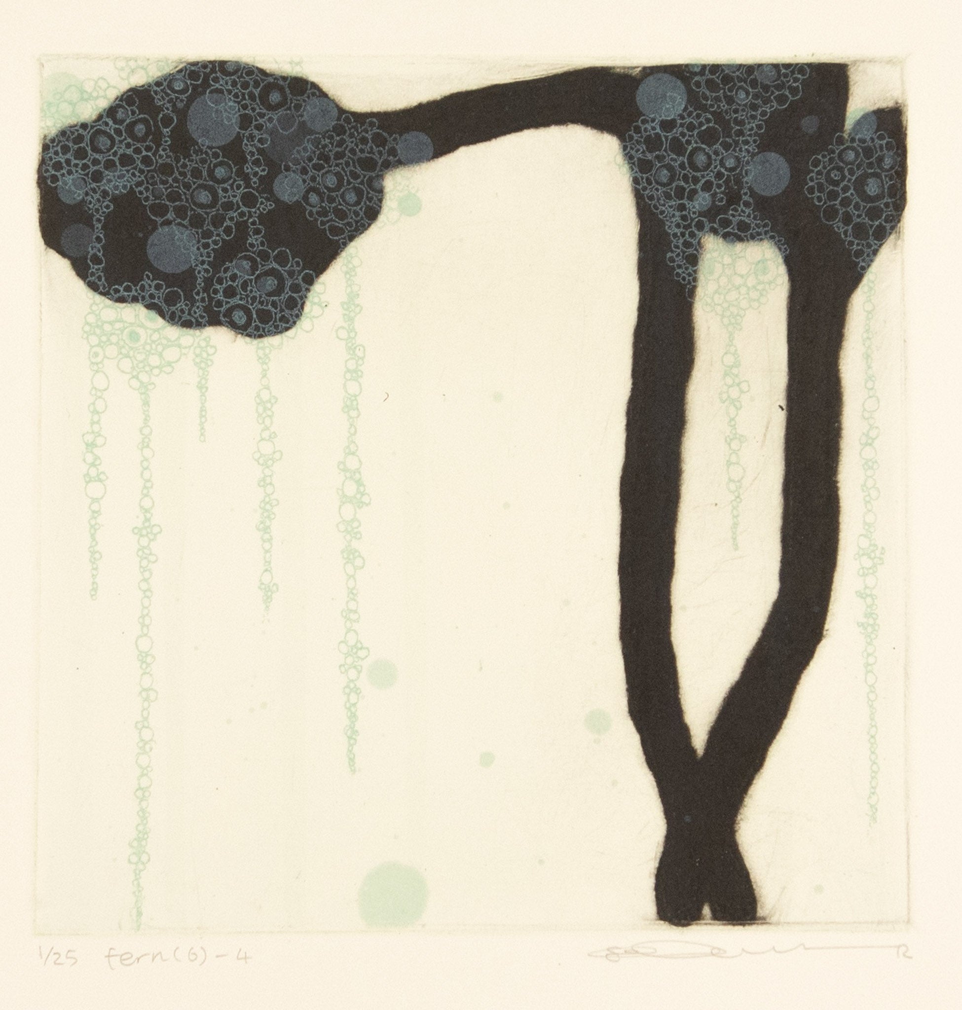 Fern (6) - 4