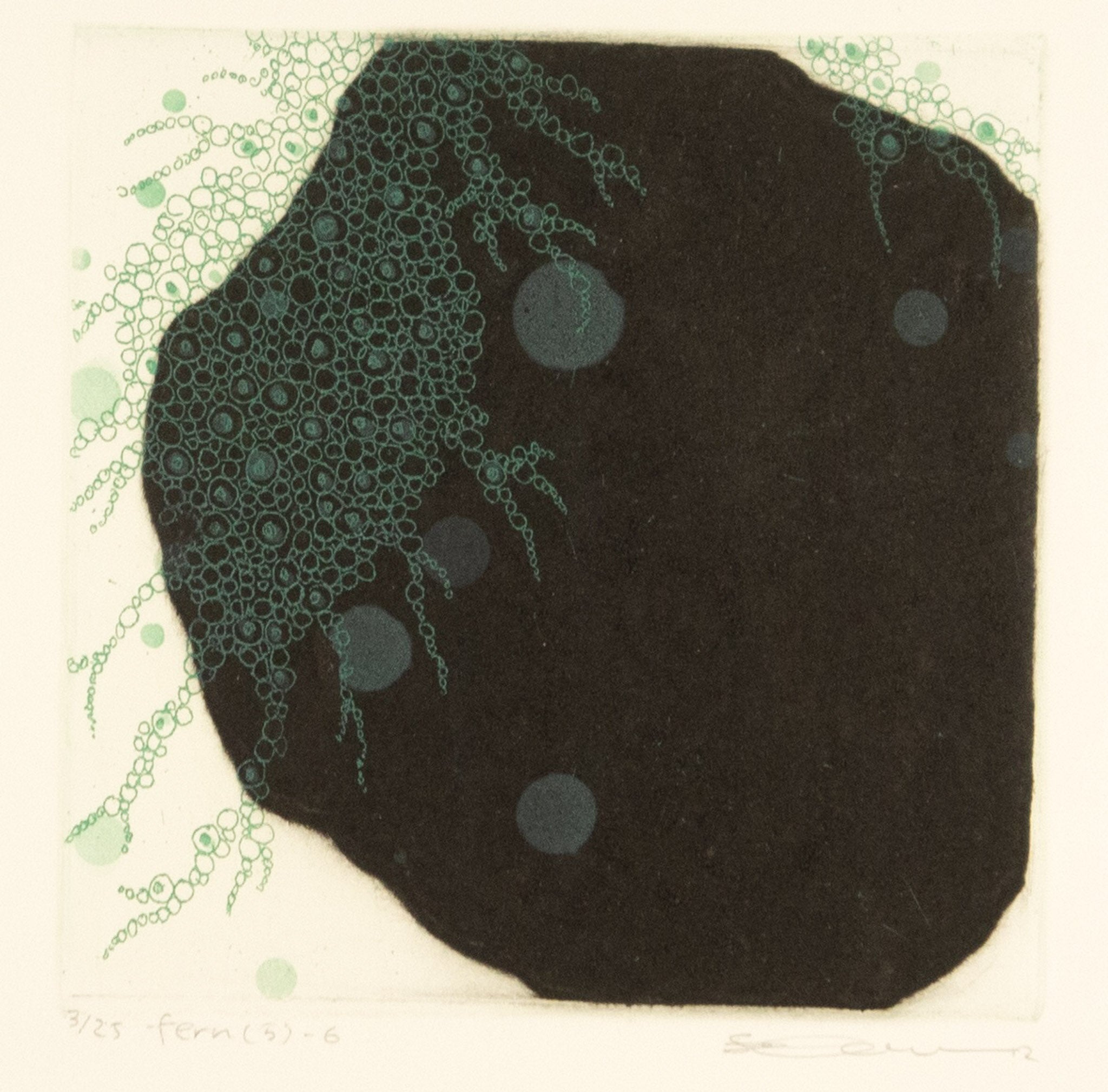 Fern (5) - 6