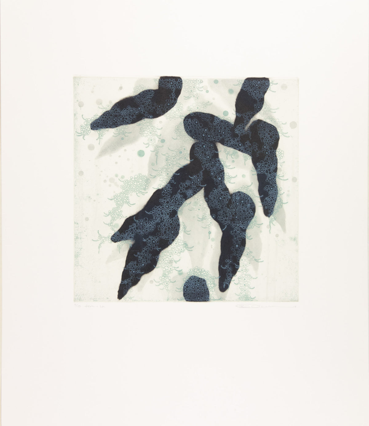 Fern - 2a